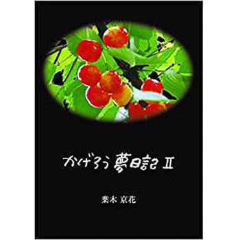 かげろう夢日記2 三恵社