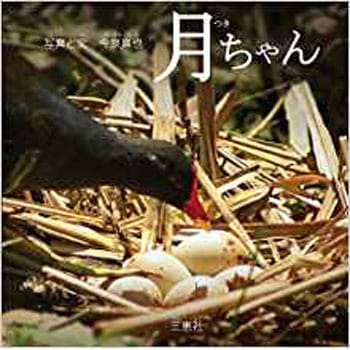 月ちゃん 三恵社