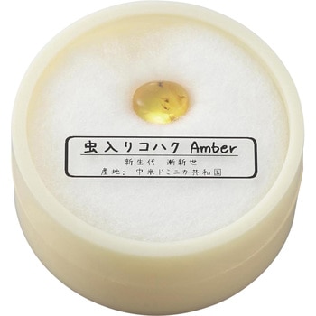 虫入りコハク ケニス