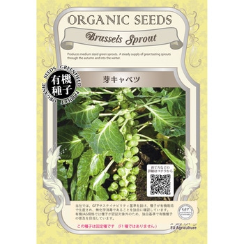 【タネ】芽キャベツ グリーンフィールドプロジェクト