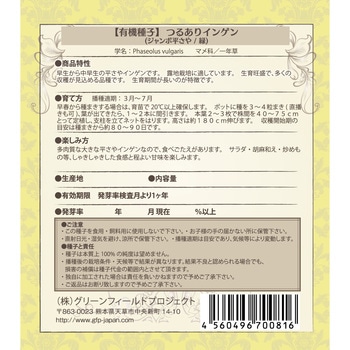 【タネ】つるありインゲン ジャンボ平さや 緑 グリーンフィールドプロジェクト