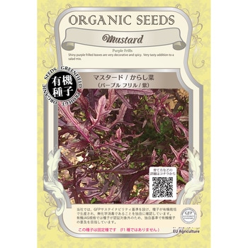 【タネ】マスタード からし菜 パープルフリル 紫 グリーンフィールドプロジェクト