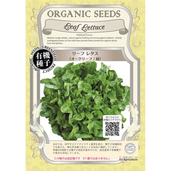 【タネ】リーフレタス オークリーフ 緑 グリーンフィールドプロジェクト