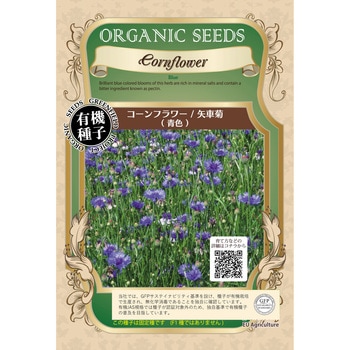 【タネ】コーンフラワー 矢車菊 青色 グリーンフィールドプロジェクト