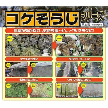 コケそうじ濃縮液 パネフリ工業