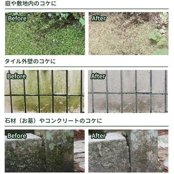 コケそうじ濃縮液 パネフリ工業