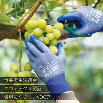 ニトリル背抜き手袋 MagneX538 トワロン(TOWA/東和コーポレーション)