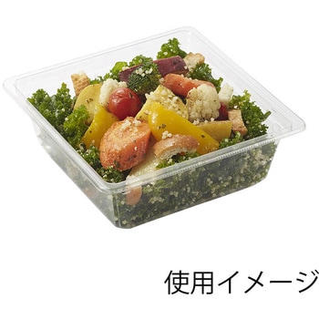 惣菜容器 バイオカップキューブ リスパック