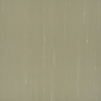 TT4545529 t[^CS  46142619