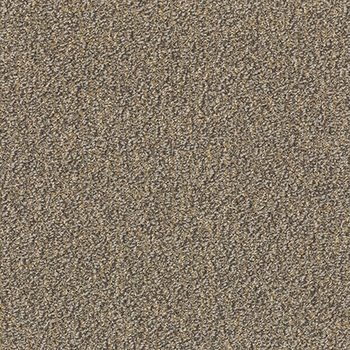 GX5105 �J�����O���C�� ���� 46149960