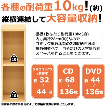 NEWプレージ6020×2個セット AIS (エイ・アイ・エス)