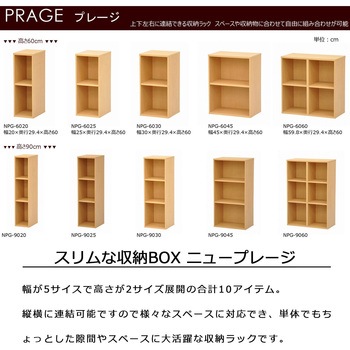 NEWプレージ6025×2個セット AIS (エイ・アイ・エス)