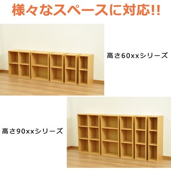 NEWプレージ6025×2個セット AIS (エイ・アイ・エス)