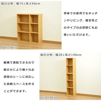 NEWプレージ6025×2個セット AIS (エイ・アイ・エス)