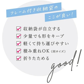 WPフレーム付衣類収納スタイル 東和産業