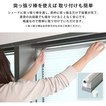 自由に幅詰め可能!フリーカットハニカムブラインド 24×110cm (採光タイプ) ホームテイスト
