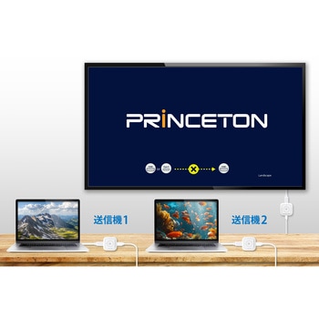 POCKET MINI用 HDMI子機X2台セット - プリンストン