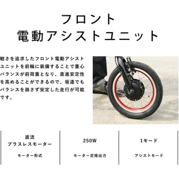 NEXT163 GIC