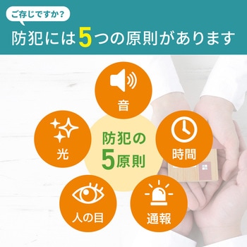 防犯士が作ったスゴい防犯カメラ 攻撃型防犯カメラ 最大10台接続可 携帯モニタリング可 ELPA
