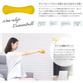 ノンスリップダンベル アルインコ