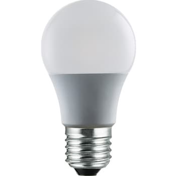 HDLED100W6500K LED電球 1個 HIDISC 【通販モノタロウ】