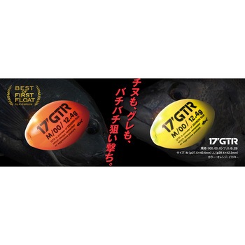 17’GTR(イチナナ ジィーティーアール) オレンジ kizakura(キザクラ)