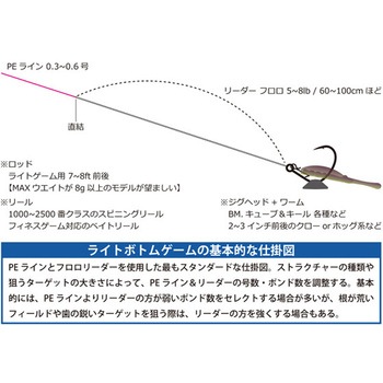 BM.キューブ Arukazik Japan(アルカジックジャパン)