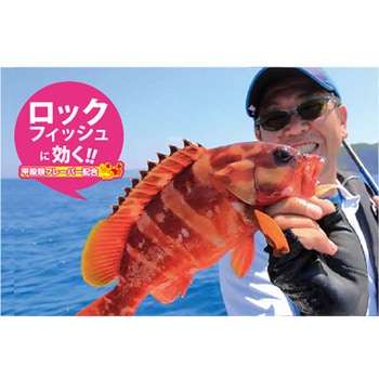 岩礁ウオ(ガンショウウオ) Arukazik Japan(アルカジックジャパン)