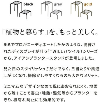 アイアンプランタースタンド「TWILL」(ツイル) 幅25 ハイロー 2点セット 住まいスタイル