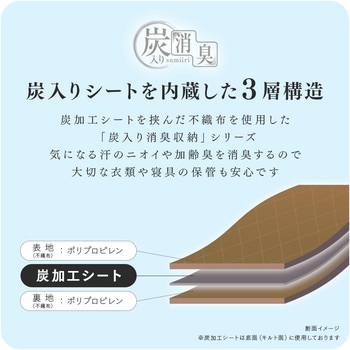 炭入り消臭羽毛布団収納ケース タテ アイメディア