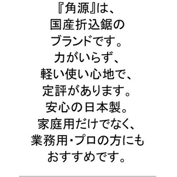 折込鋸 イバラ目 角源