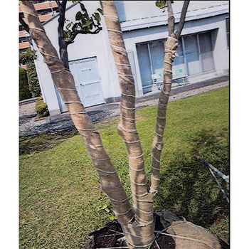 幹巻テープ 丸三産業