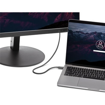 TBLT34MM50CM Thunderbolt 3P[u/40Gbps/Thunderbolt 4 USB-C DisplayPort݊/T_[{g f[^] j^[ fBXvC fo StarTech.com 46244014