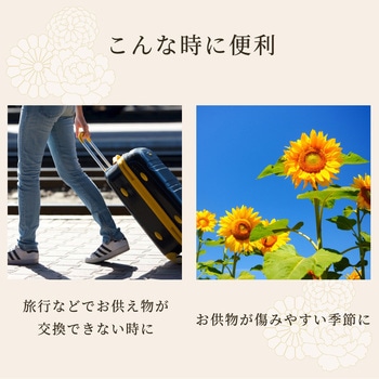 仏壇用 果物と供物台のセット アイメディア