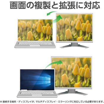 Type-C変換ケーブル タイプC-DisplayPort 4K対応 ブラック エレコム