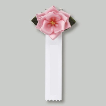 459-031 �J�́E���o�� �Ⓓ�Y�� 46288324