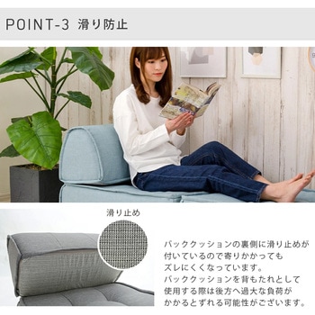 バッククッション セルタン