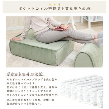 フロアクッション セルタン