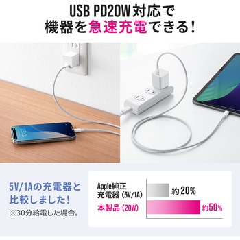 AC充電器 PD20W USB PD対応 サンワダイレクト