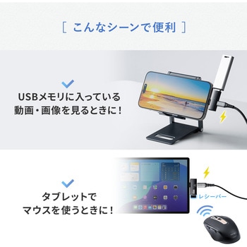 USB TypeCアダプタ USB 10Gbps 変換用 サンワダイレクト