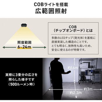 LEDライト カラビナ付き 充電式 サンワダイレクト