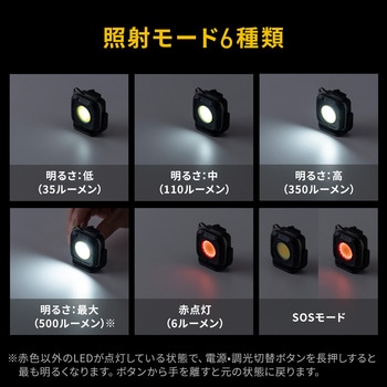 LEDライト カラビナ付き 充電式 サンワダイレクト