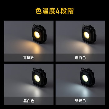 LEDライト カラビナ付き 充電式 サンワダイレクト