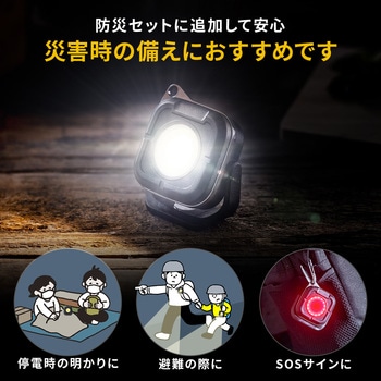 LEDライト カラビナ付き 充電式 サンワダイレクト
