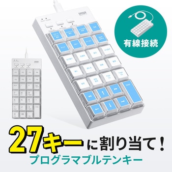 テンキー ケーブル プログラマブル サンワダイレクト