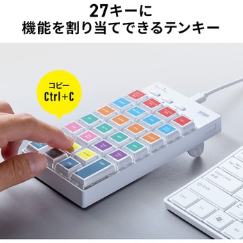 テンキー ケーブル プログラマブル サンワダイレクト