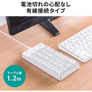 テンキー ケーブル プログラマブル サンワダイレクト
