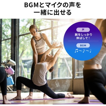 拡声器スピーカー ワイヤレス サンワダイレクト