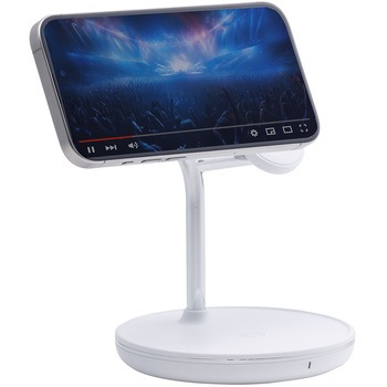 充電スタンド サンワダイレクト