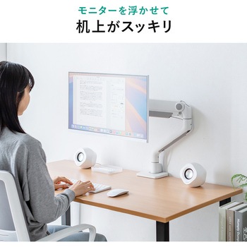 液晶モニタアーム サンワダイレクト